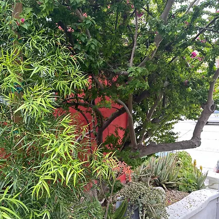 Modern, Remodeled Echo Park House-Walk To Sunset Blvd, Dodgers Stadium, Shops, Bars, Restaurants, Lake, Concerts Los Angeles Extérieur photo